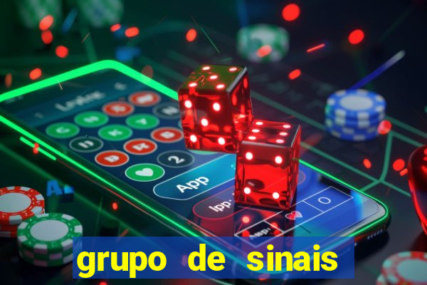 grupo de sinais fortune rabbit